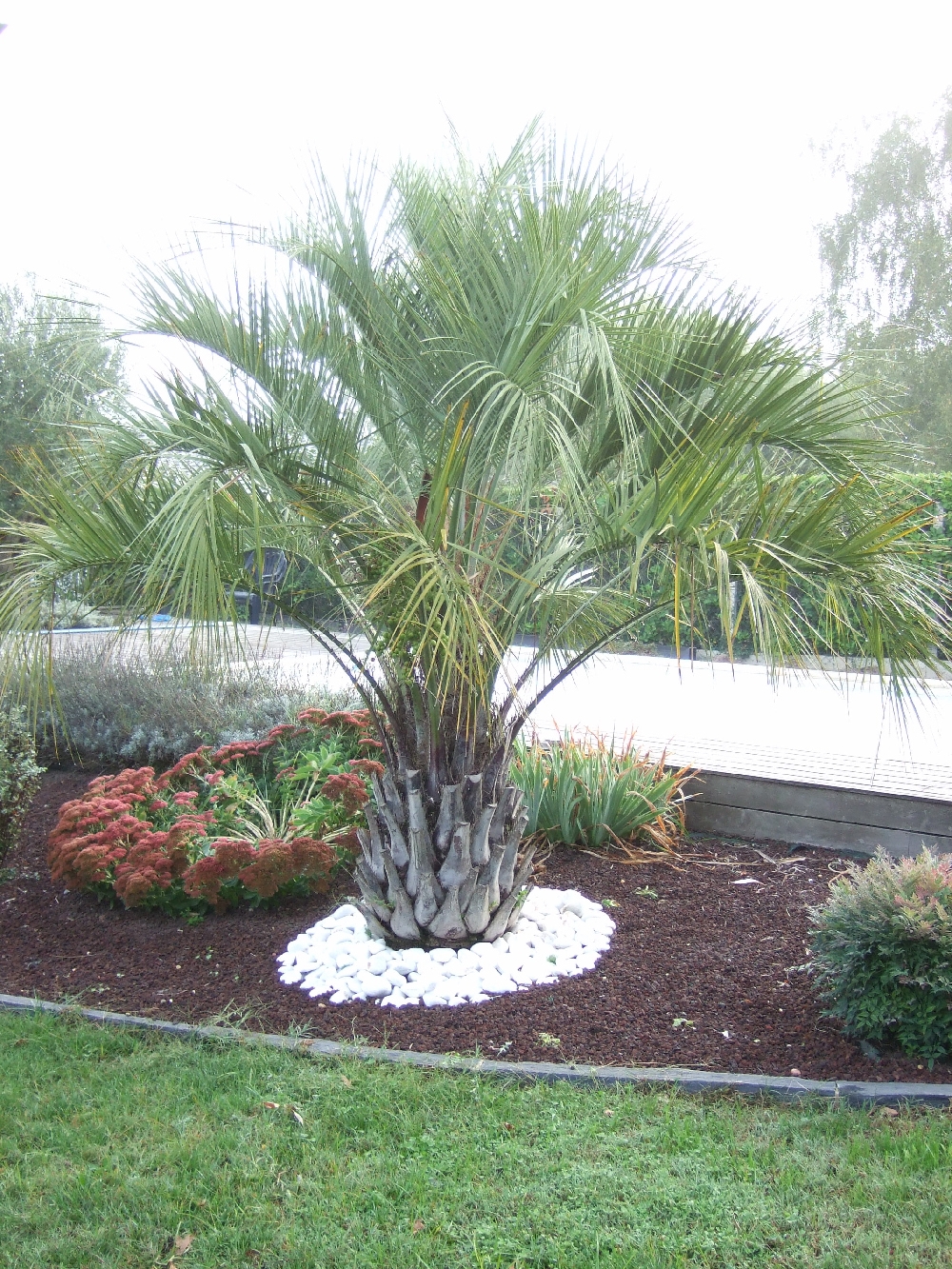 Vente de gravier blanc en vrac pour cour de maison à Carry-le-Rouet 13620
