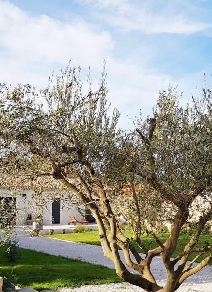 Quel gravier choisir pour une allée en béton sur Aix-en-Provence ?