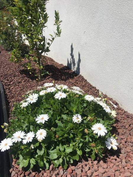 Commander de la pouzzolane en vrac pour votre potager à Istres