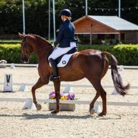 Nos prestations sur le secteur de Carry-le-Rouet 13620